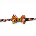 Noeud papillon